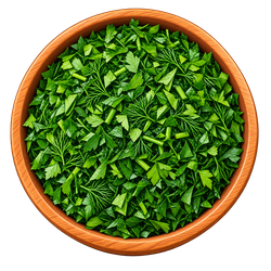 صفحه اصلی